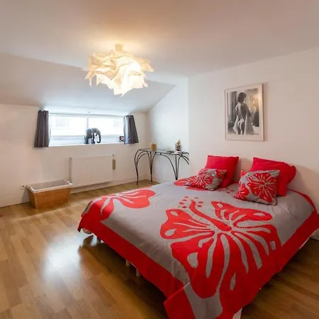 Apartment Contemporary Furnished Duplex With 3 Bedrooms Near All Amenities Bordeaux